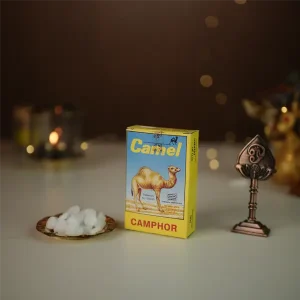 camel-camphor