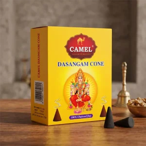 dasangam-cone